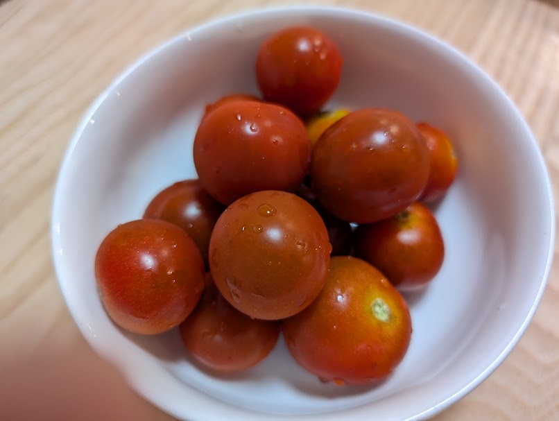 ココノミ　ミニトマト　盛り付け